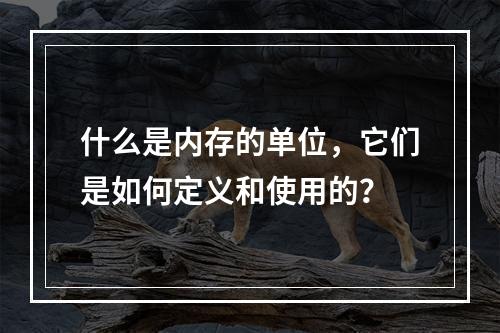 什么是内存的单位,它们是如何定义和使用的?
