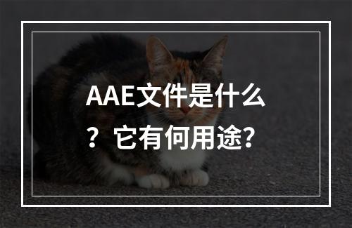 AAE文件是什么?它有何用途?