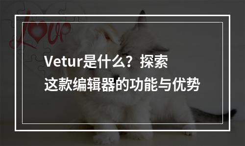 Vetur是什么?探索这款编辑器的功能与优势