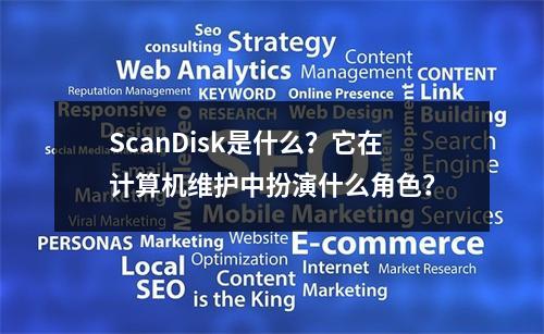 ScanDisk是什么?它在计算机维护中扮演什么角色?