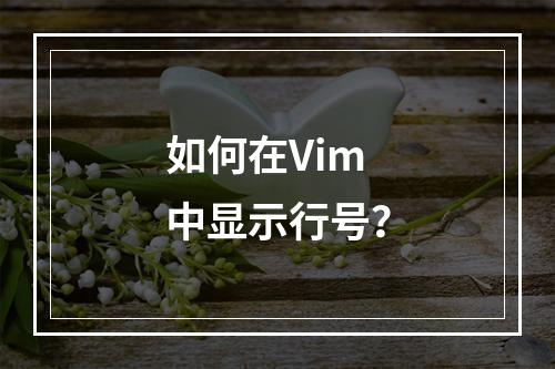 如何在Vim中显示行号?