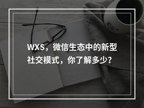 WXS,微信生态中的新型社交模式,你了解多少?