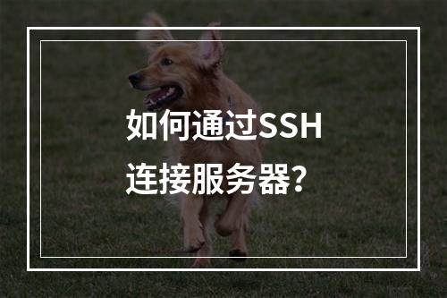 如何通过SSH连接服务器?