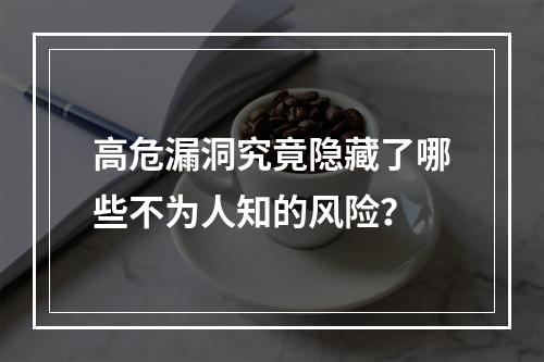 高危漏洞究竟隐藏了哪些不为人知的风险?