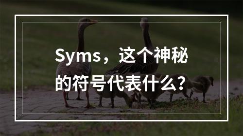 Syms,这个神秘的符号代表什么?