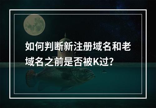 如何判断新注册域名和老域名之前是否被K过?