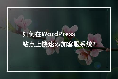 如何在WordPress站点上快速添加客服系统?