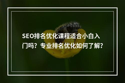 SEO排名优化课程适合小白入门吗?专业排名优化如何了解?