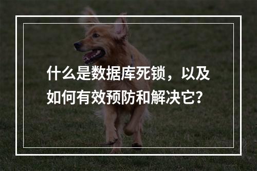 什么是数据库死锁,以及如何有效预防和解决它?