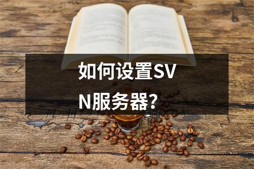 如何设置SVN服务器?