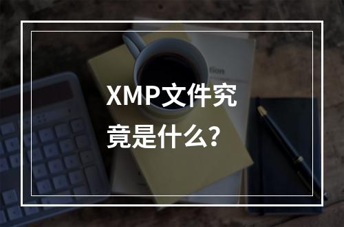 XMP文件究竟是什么?