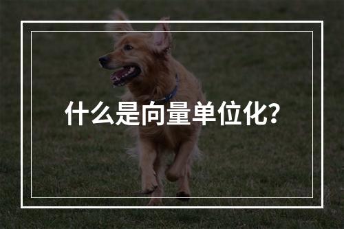 什么是向量单位化?