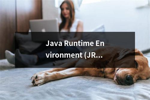 Java Runtime Environment (JRE),它是什么,以及为什么它对Java开发者如此重要?