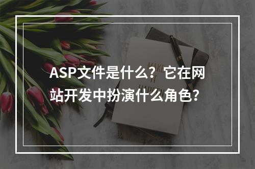 ASP文件是什么?它在网站开发中扮演什么角色?
