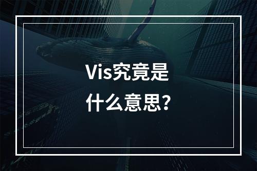 Vis究竟是什么意思?