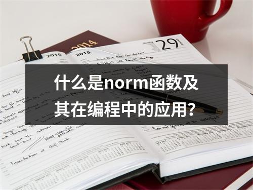 什么是norm函数及其在编程中的应用?