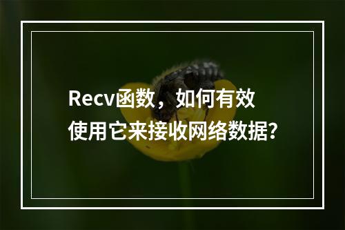 Recv函数,如何有效使用它来接收网络数据?