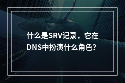 什么是SRV记录,它在DNS中扮演什么角色?
