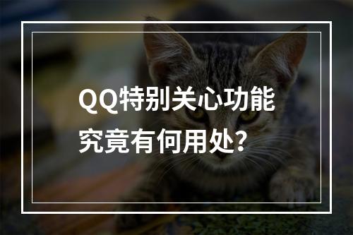 QQ特别关心功能究竟有何用处?
