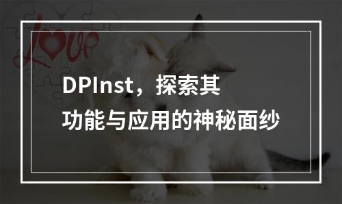 DPInst,探索其功能与应用的神秘面纱