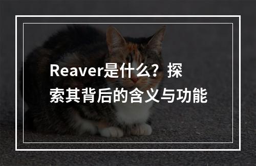 Reaver是什么?探索其背后的含义与功能