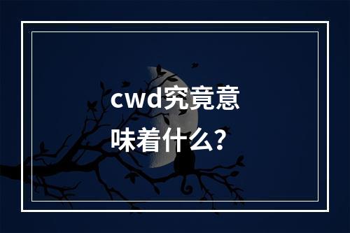 cwd究竟意味着什么?
