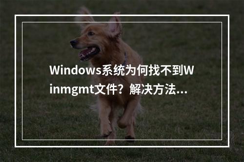Windows系统为何找不到Winmgmt文件?解决方法探讨