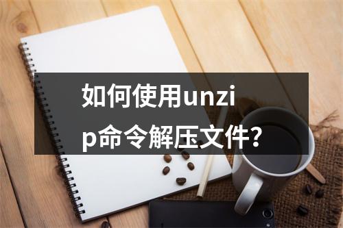 如何使用unzip命令解压文件?