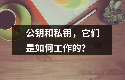 公钥和私钥,它们是如何工作的?
