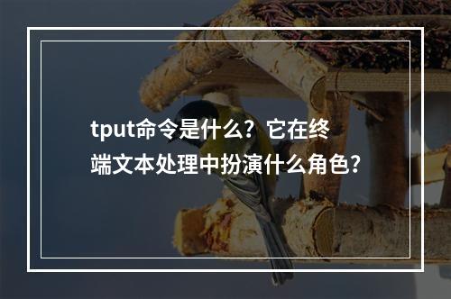 tput命令是什么?它在终端文本处理中扮演什么角色?