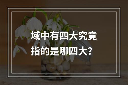 域中有四大究竟指的是哪四大?