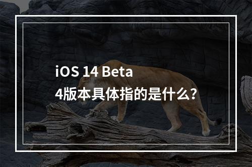 iOS 14 Beta 4版本具体指的是什么?