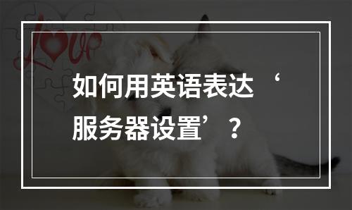 如何用英语表达‘服务器设置’?