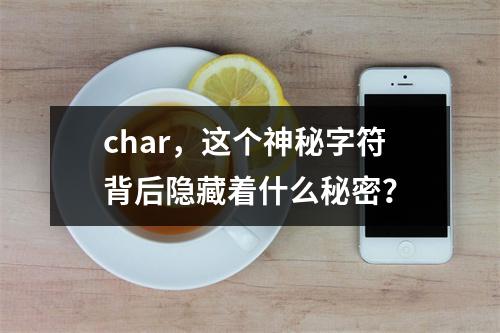 char,这个神秘字符背后隐藏着什么秘密?