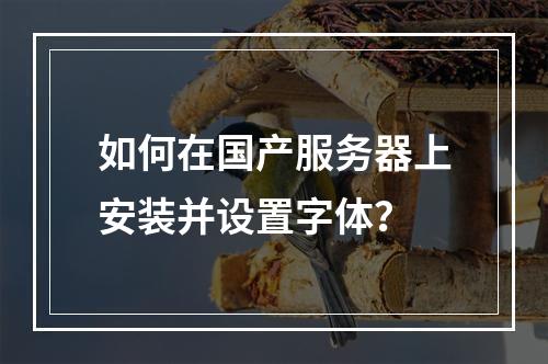 如何在国产服务器上安装并设置字体?