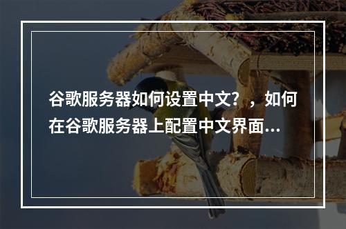 谷歌服务器如何设置中文?,如何在谷歌服务器上配置中文界面?,谷歌服务器语言设置中怎么添加中文?,谷歌服务器控制面板能切换到中文吗?,如何将谷歌服务器的语言修改为
