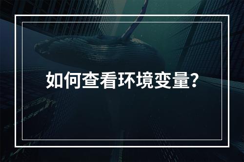 如何查看环境变量?