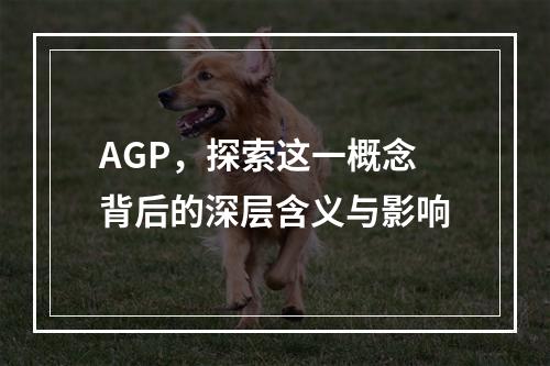 AGP,探索这一概念背后的深层含义与影响