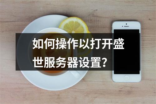 如何操作以打开盛世服务器设置?