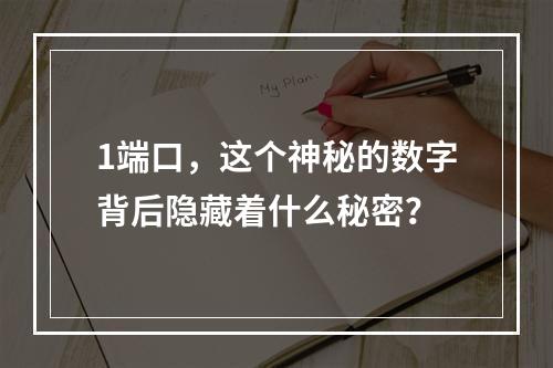 1端口,这个神秘的数字背后隐藏着什么秘密?
