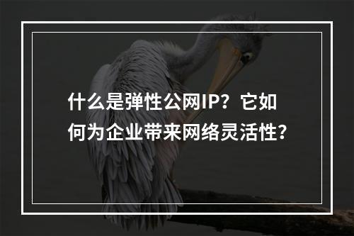 什么是弹性公网IP?它如何为企业带来网络灵活性?