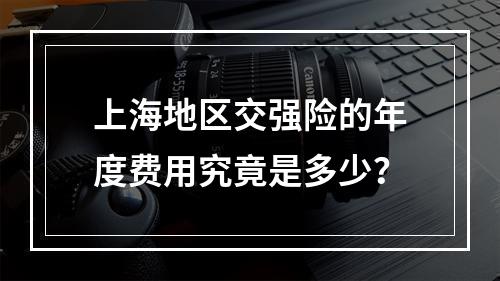 上海地区交强险的年度费用究竟是多少?