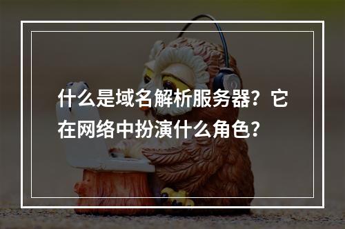 什么是域名解析服务器?它在网络中扮演什么角色?