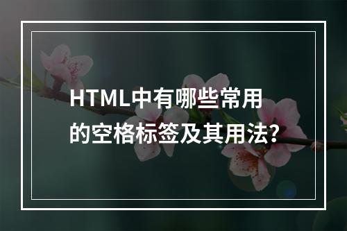 HTML中有哪些常用的空格标签及其用法?