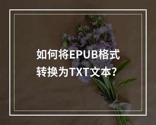 如何将EPUB格式转换为TXT文本?