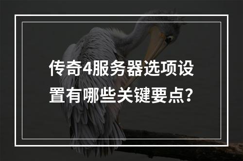 传奇4服务器选项设置有哪些关键要点?