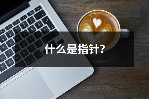 什么是指针?
