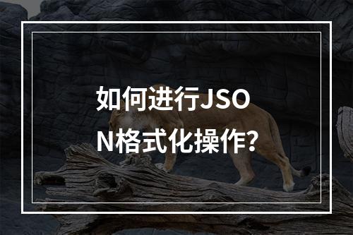 如何进行JSON格式化操作?