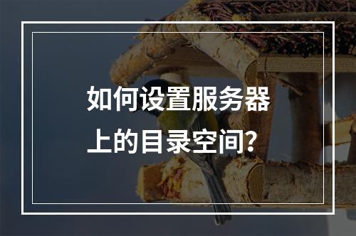 如何设置服务器上的目录空间?