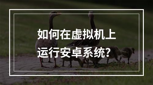 如何在虚拟机上运行安卓系统?
